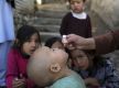 The Taliban have suspended polio vaccination campaigns in Afghanistan