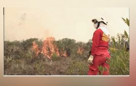 At least 15 dead and thousands hectares scorched as wildfires sweep Peru