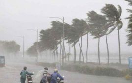 Trees uprooted in Odisha amid winds and heavy downpour as Cyclone Dana makes landfall