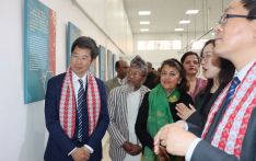 चिनियाँ संस्कृति झल्काउने नव वर्ष चित्रकलाको प्रदर्शनी आजदेखि सुरु