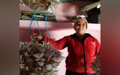 तालिम पाएपछि महिला च्याउ खेतीतर्फ आकर्षित