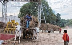 उखु अभावले क्रसिङ प्रभावित