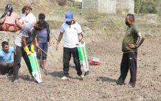ताप्लेजुङका किसान सामूहिक मकैखेतीतर्फ आकर्षित