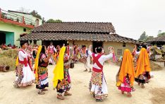 रानाथारू समुदायमा होरीको रौनक सुरु