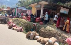 गाउँकै शीतभण्डारमा आलु राख्न पाएपछि कृषक हर्षित