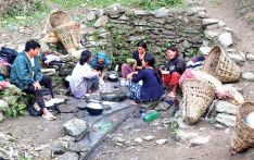 कुवाको पानी क्या छ दामी