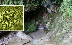 बागलुङका १०६ खानेपानी मुहानमा कोलिफर्म भेटियो