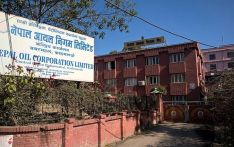 NOC earns Rs 9.55 billion profit