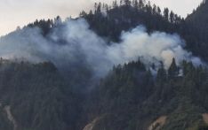 100 hectares of forest lost to wildfire in Myagdi