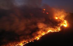 Mountain fire breaks out in north China province