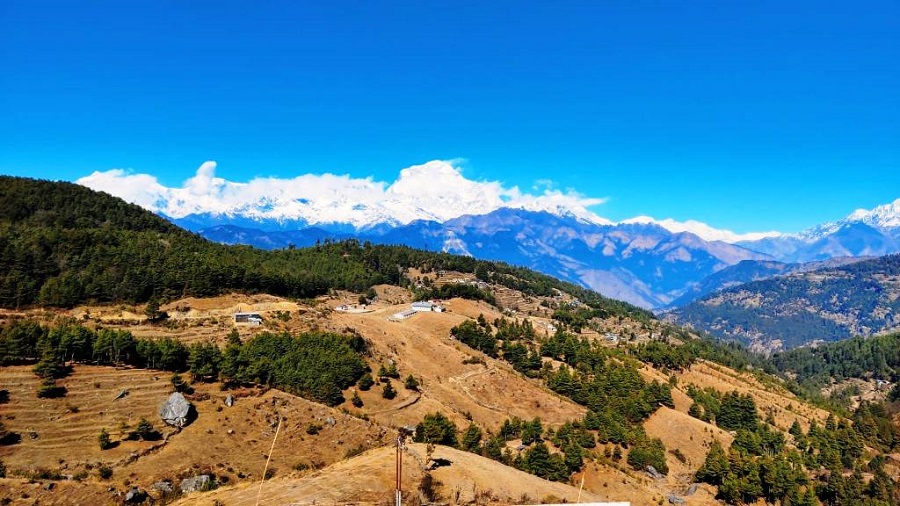 jaljala