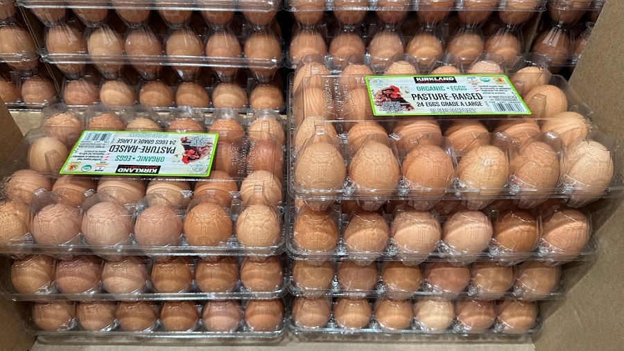 Egg_Prices_33997--57942