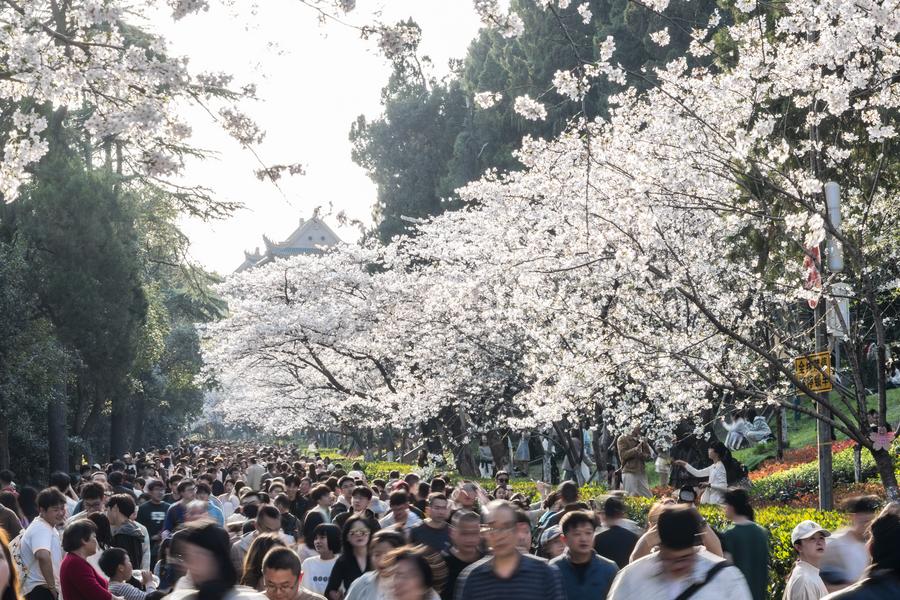 spring