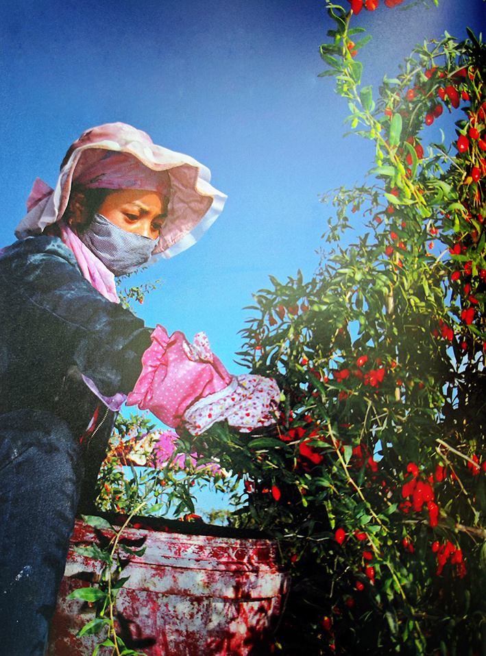 613bcb541e496df8b17d6dbcfd370e62