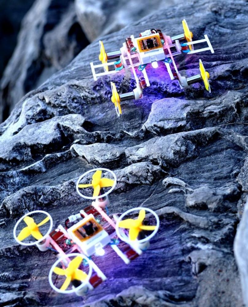 micro robot