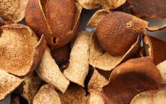 春天喝点玫瑰陈皮茶，疏肝理气健脾胃