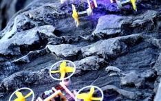Chinese scientists develop world's smallest untethered terrestrial-aerial micro-robot