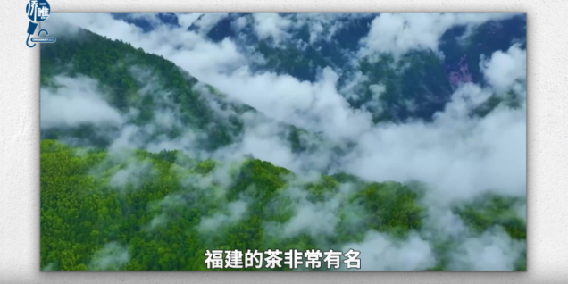 何以中国丨中国超有young：西班牙小哥的茶香奇遇记