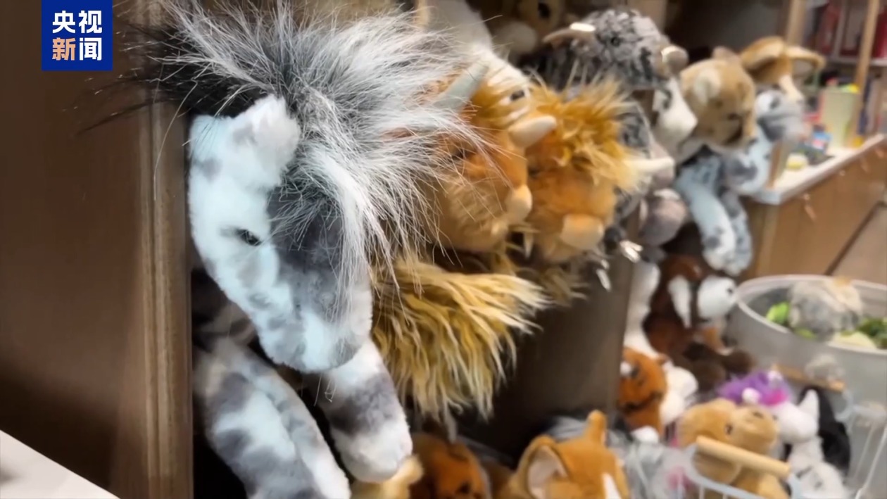 091010c6d1928f58e8175a2dbf9dabb6