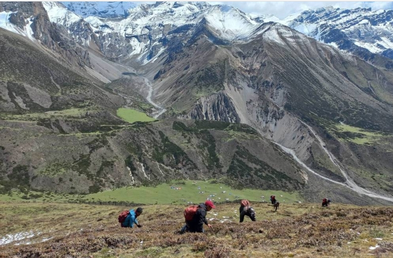 Weixin Image_20250501223329