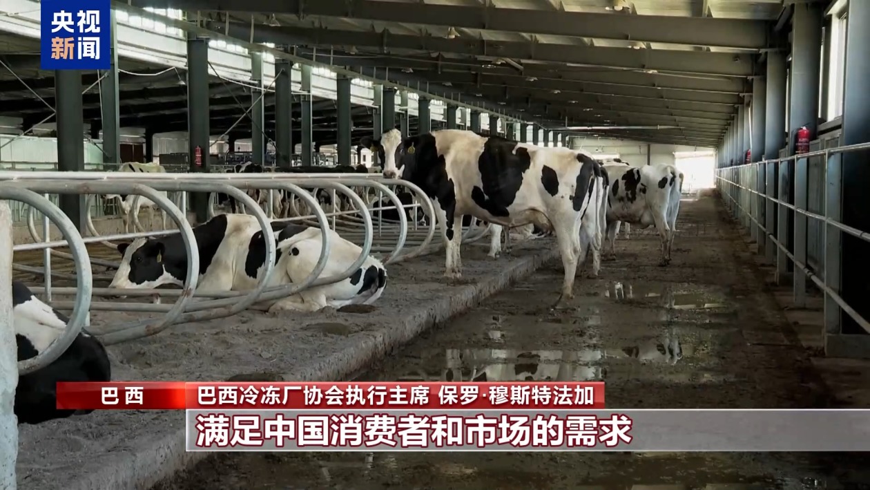 01c74f062302e1129163e6ad5ac24277