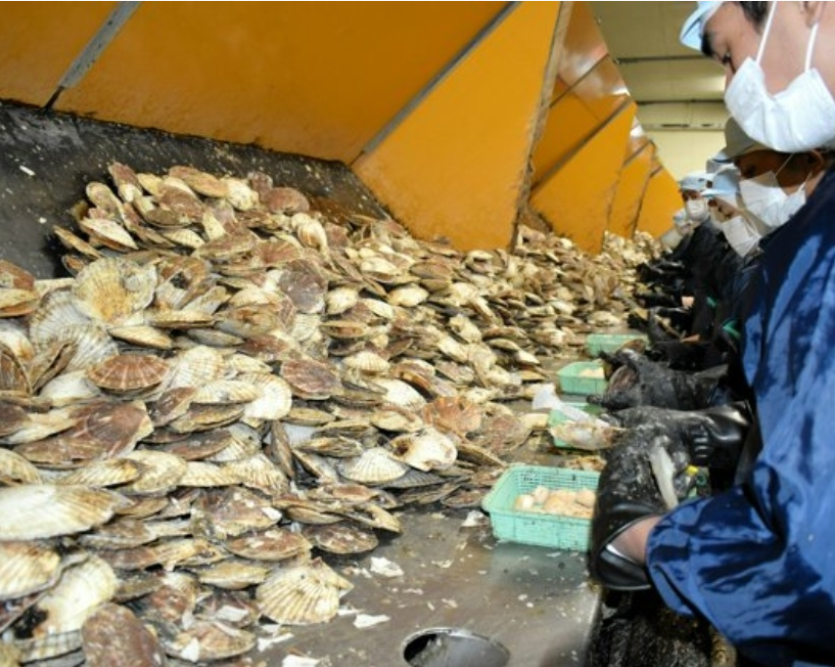 Weixin Image_20250505210940