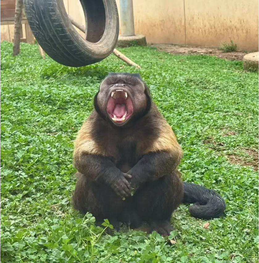 Weixin Image_20250505220751