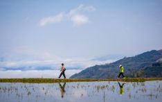 1,300-year-old agricultural ecosystem shines in SW China's Yunnan