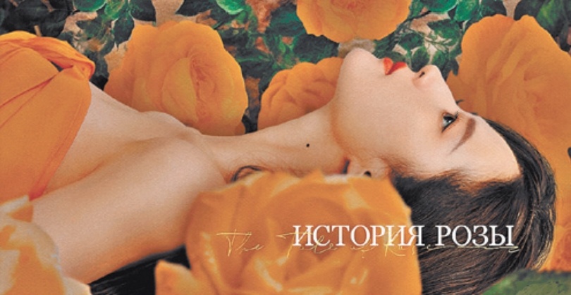 56e3569652609a07dcee7a3dc5be49f1u5