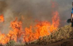 《自然》称年轻世代或将面临更多极端气候