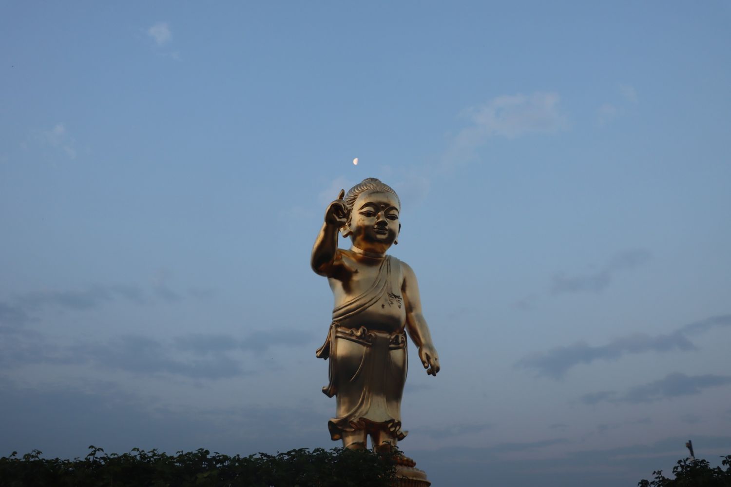 buddha budha
