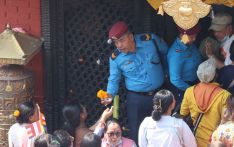佛教信众在博大哈佛塔庆祝“佛诞日”