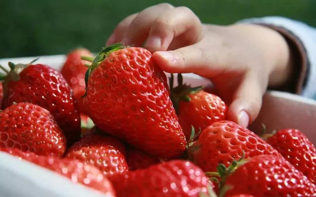 wei_xin_tu_pian_20191219140732