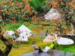 Camping boom ignites outdoor industry growth across China