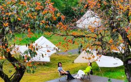Camping boom ignites outdoor industry growth across China