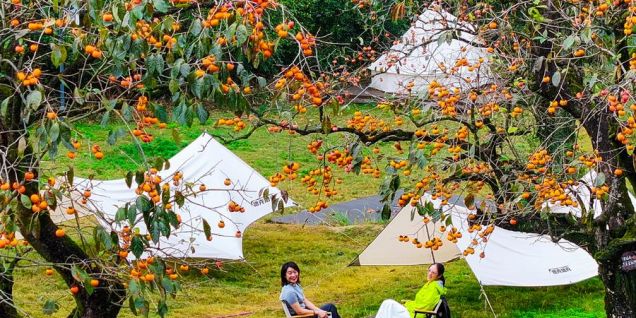 Camping boom ignites outdoor industry growth across China