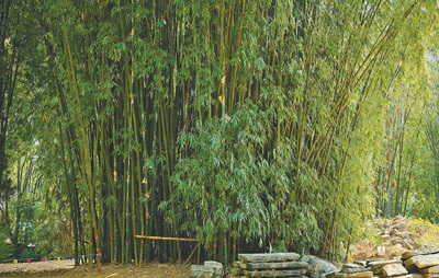 0f058d52b67e791e79aa4e41cd1dec8f