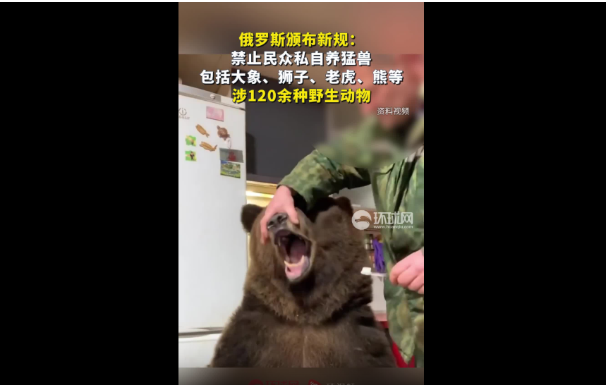 Weixin Image_20250514224853