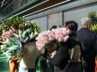 China's Yunnan sees blooming flower export