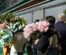 China's Yunnan sees blooming flower export