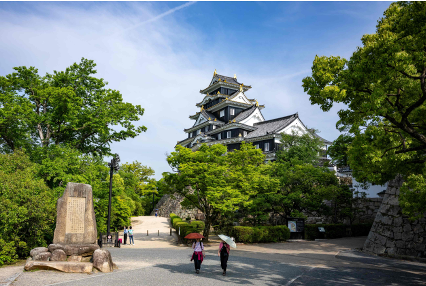 Weixin Image_20250517191320