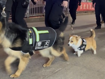 89c9498a471bc98499fa4ab13e8ad67ae4010472