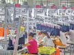 554 business firms registered in 10 months