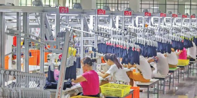 554 business firms registered in 10 months
