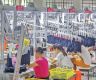 554 business firms registered in 10 months
