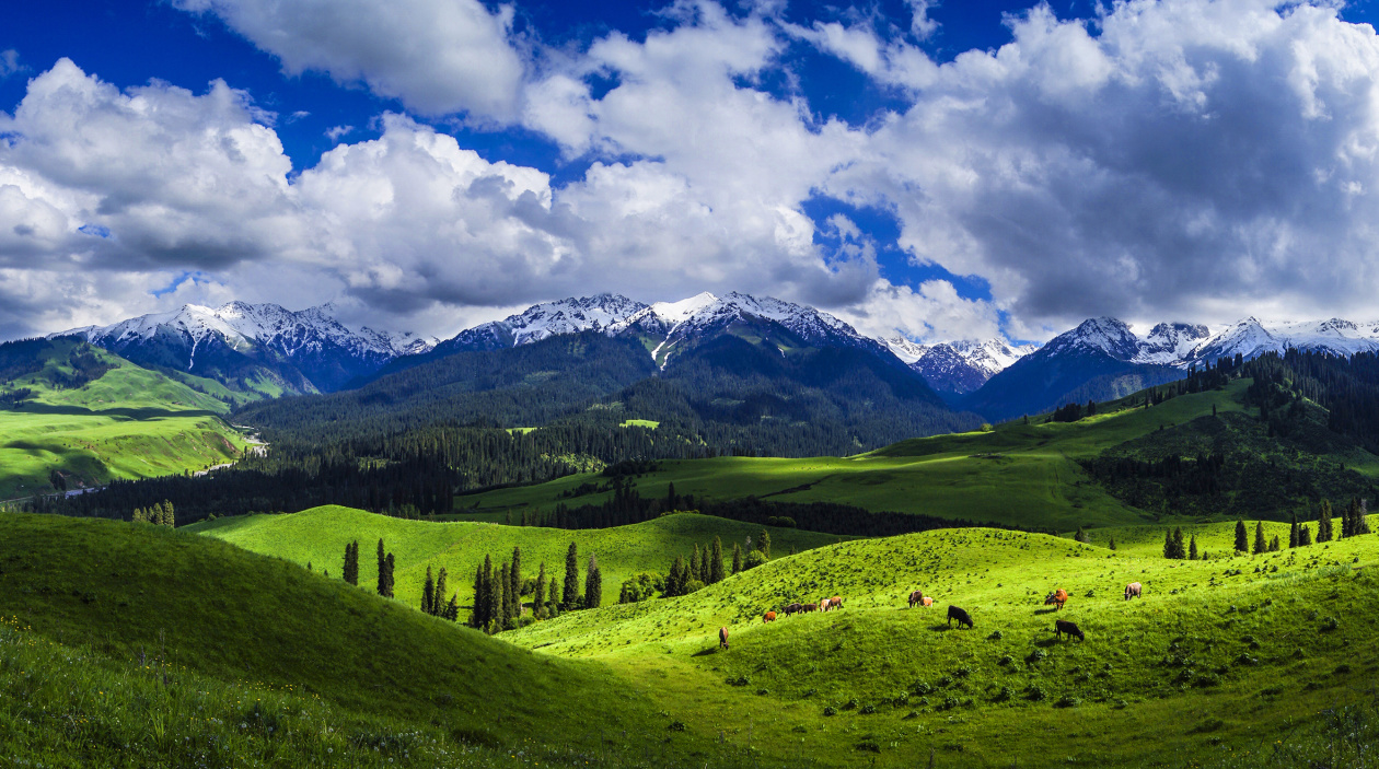 2454d3b8097583667f0e224ca1e1a4a8