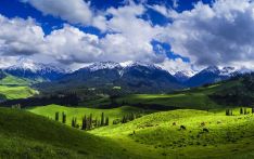 从独库公路到龟兹乐舞—“新疆是个好地方”品牌越擦越亮