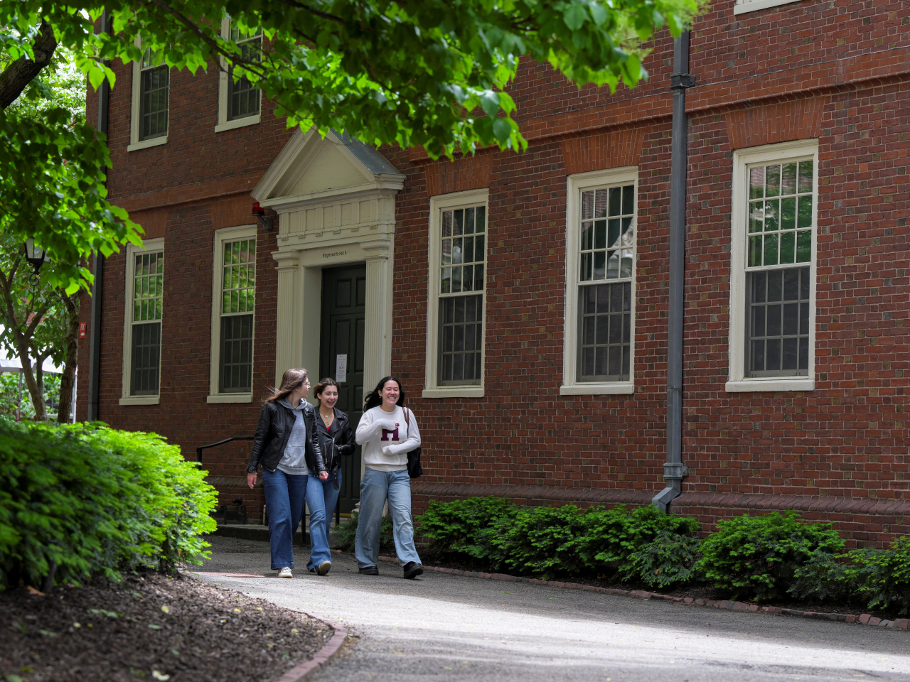 mfile_1806047_1_L_20250524053005