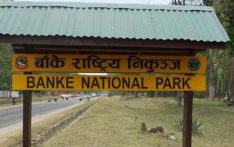बाँके राष्ट्रिय निकुञ्जमा पर्या पर्यटन प्रवर्द्धन गर्न माग