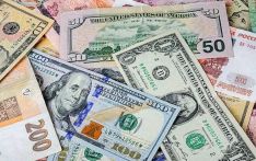 USD exchanges at Rs 136.88, euro at Rs 155